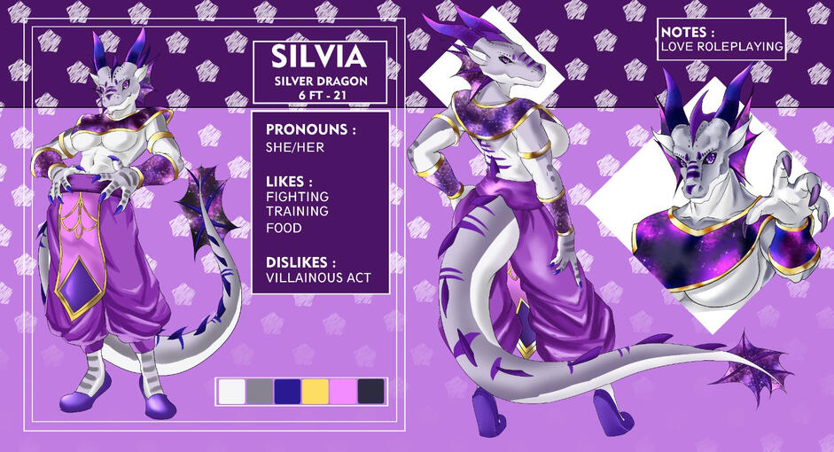 Silvia's Reference sheet